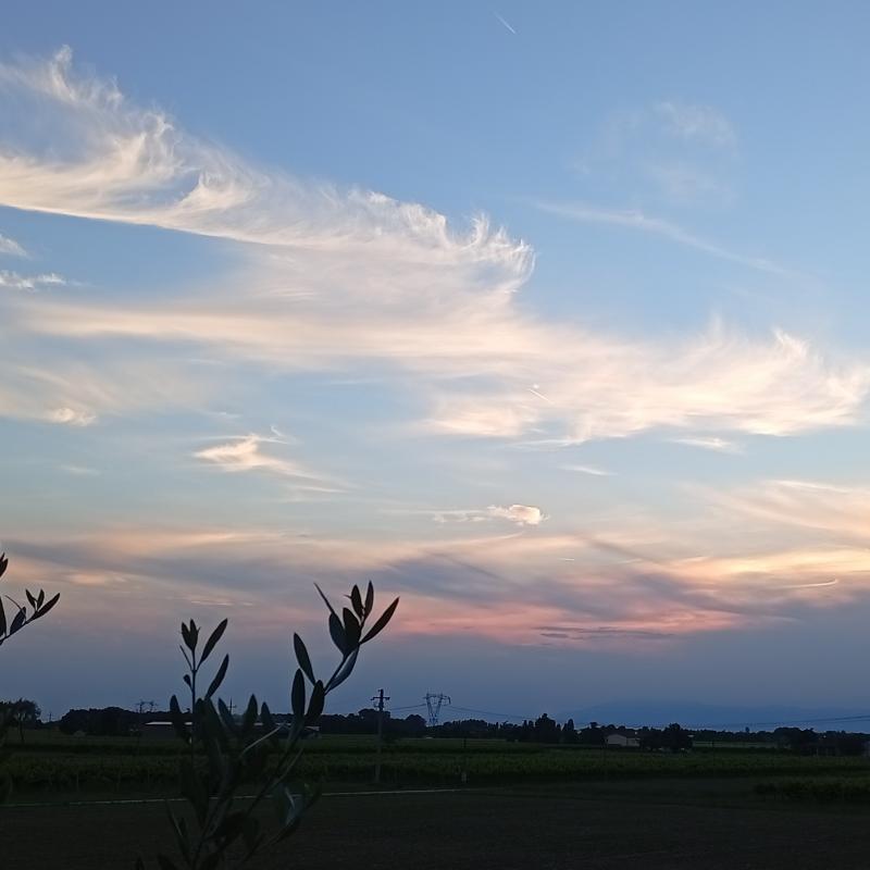 Tramonto dai tenui colori...