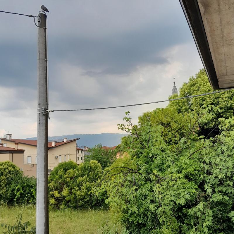 Fotosegnalazione di Rosa'