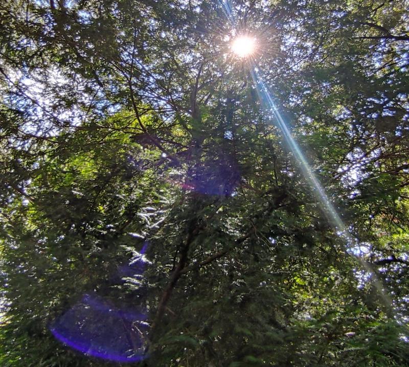 disegni di luce al parco rizzani. i miei attimi speciali adry
