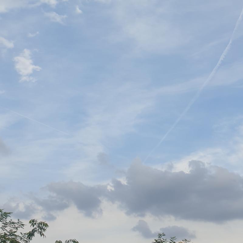 Fotosegnalazione di Gallarate