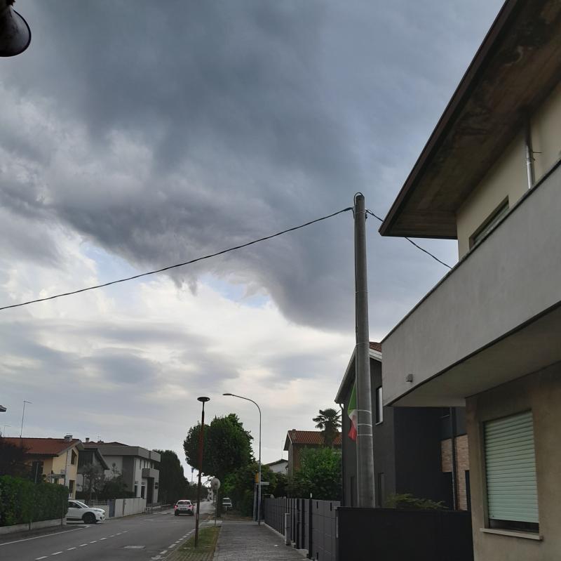 Fotosegnalazione di Rosa'