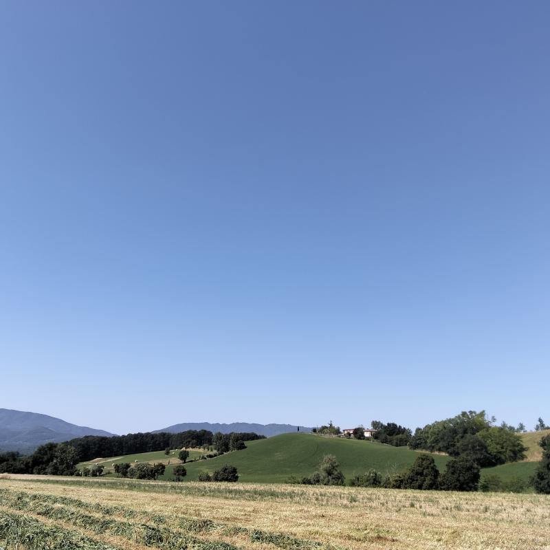 Fotosegnalazione di Borgo san lorenzo