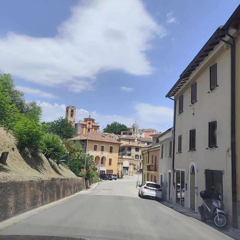 Fotosegnalazione di Saltara