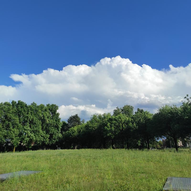 Fotosegnalazione di Albiate