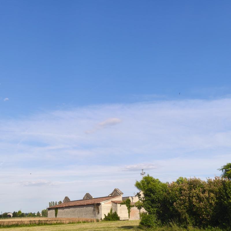Fotosegnalazione di Guarda veneta