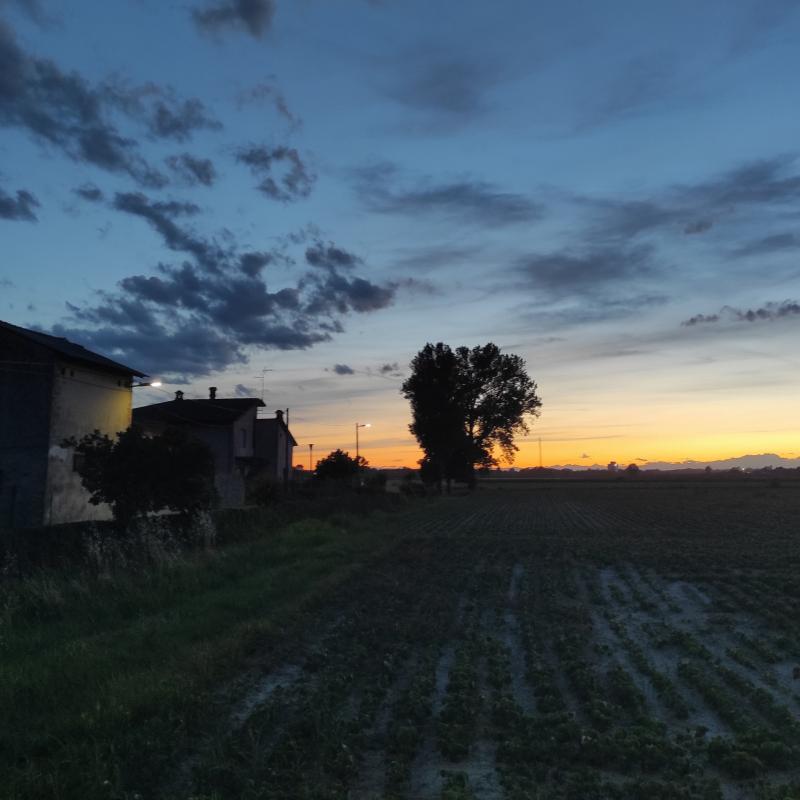Fotosegnalazione di Zerbo