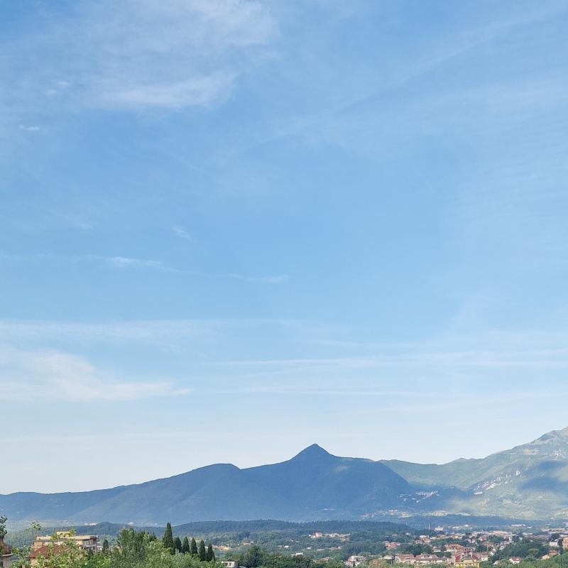 Fotosegnalazione di Frosinone alta