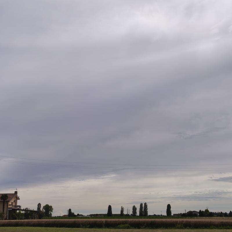 Fotosegnalazione di Guarda veneta