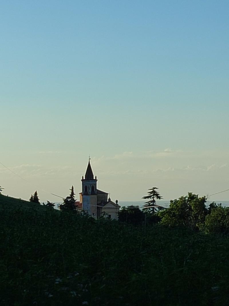 leggere velature