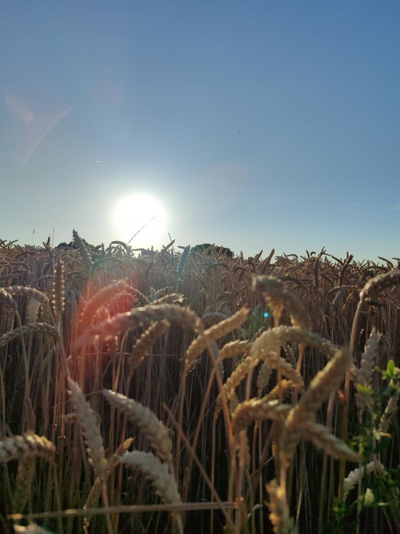 bel tramonto