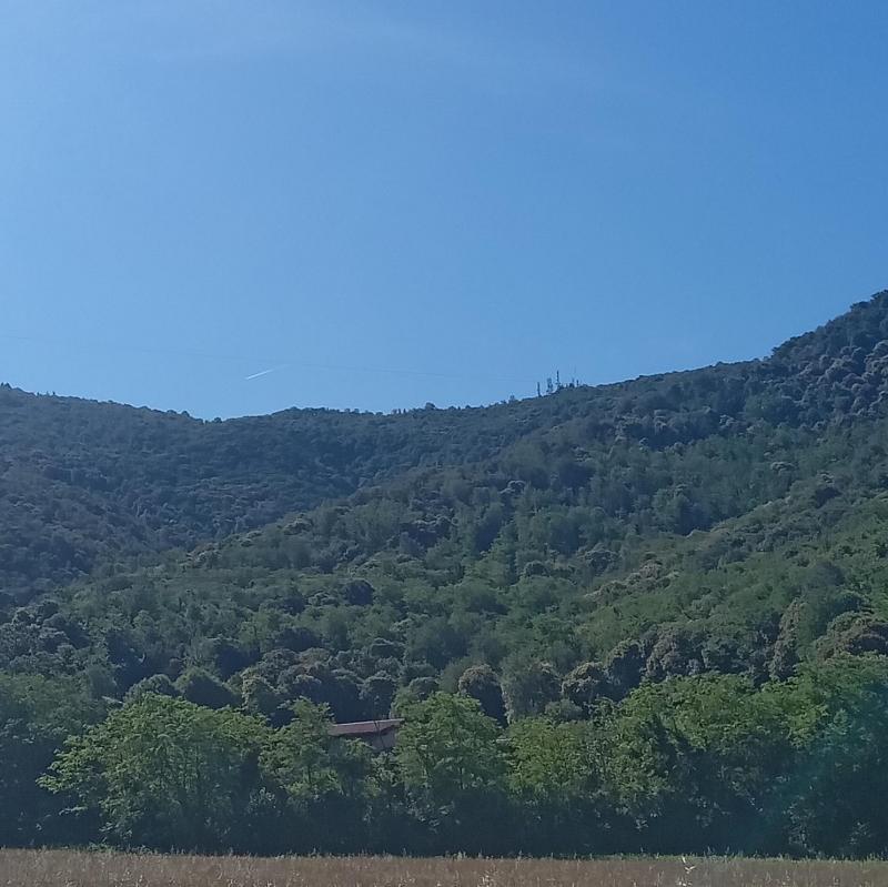nel blu