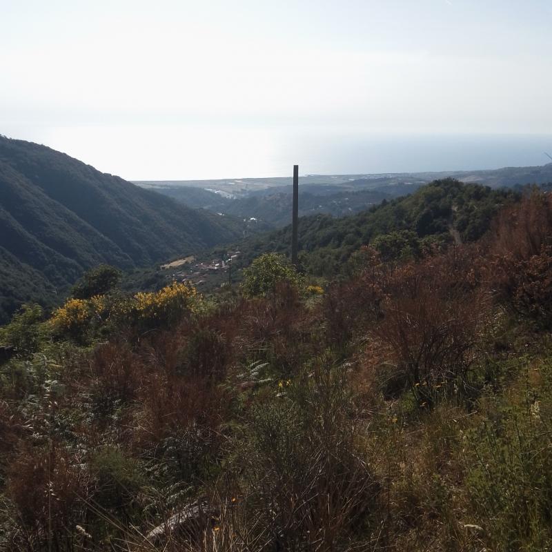 Fotosegnalazione di Nocera terinese