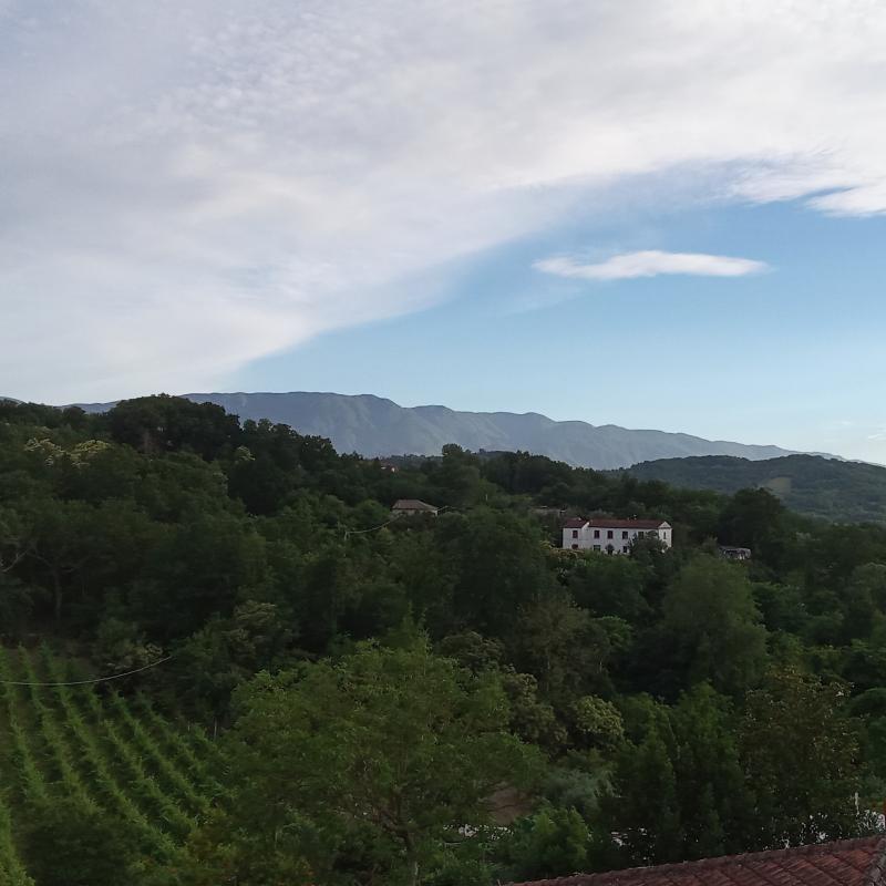 Montevergine