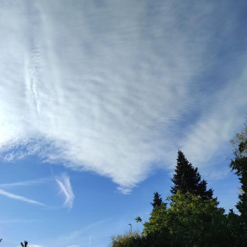 Fotosegnalazione di Albiate