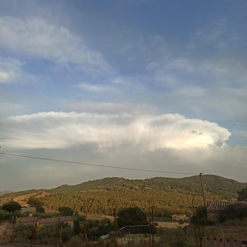 Fotosegnalazione di Nissoria