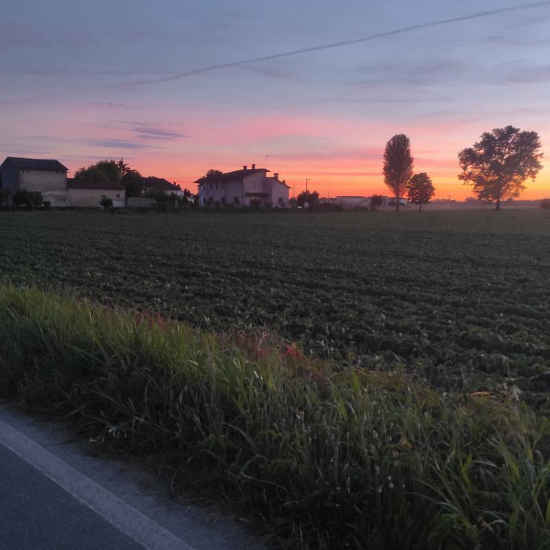 Fotosegnalazione di Zerbo