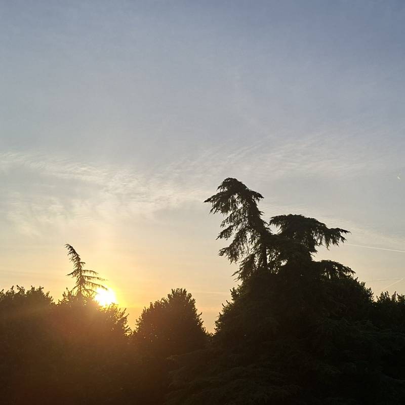 Un venerdi' di pace
