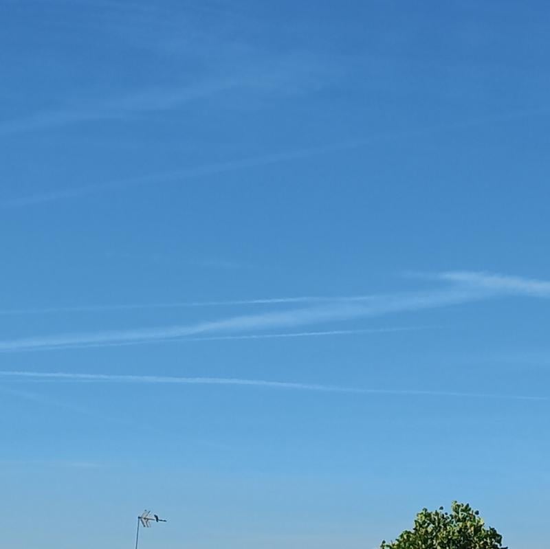 Striscie
