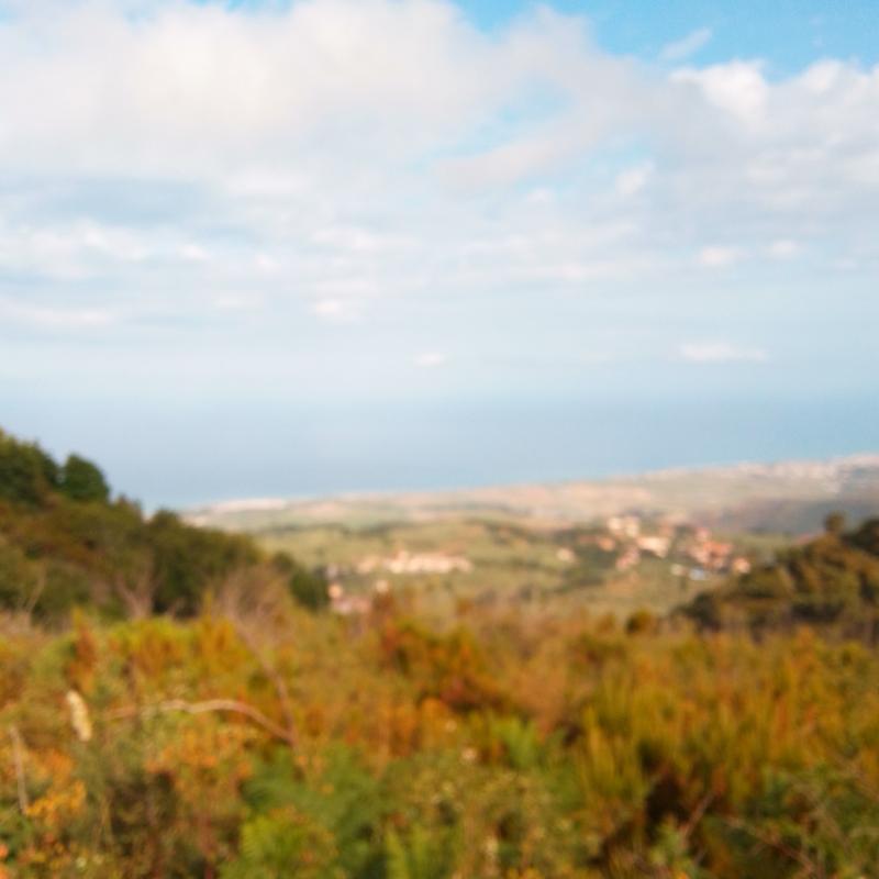 Fotosegnalazione di Campora san giovanni