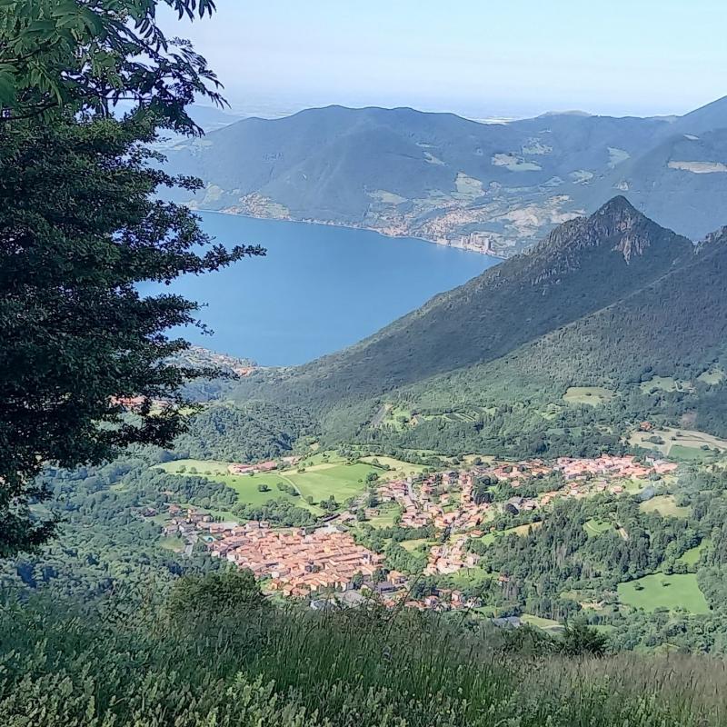 Dall'alto