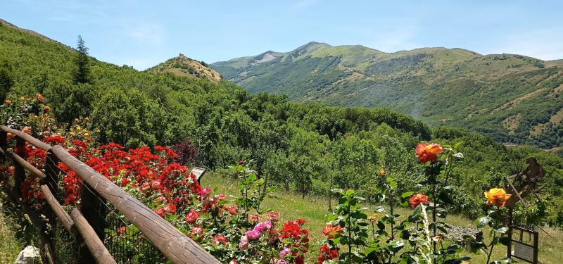 la verde vallata