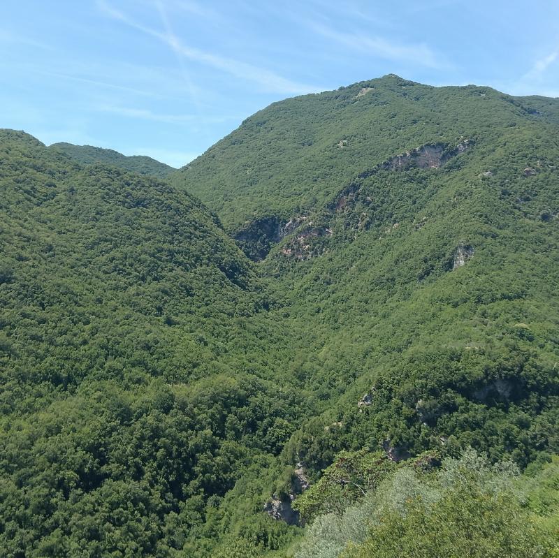Fotosegnalazione di Sambuci