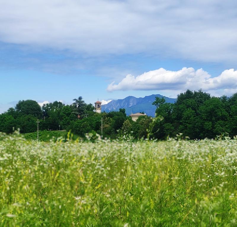 Tavagnacco con la sua bellissima chiesa in lontananza. i miei attimi speciali Adry