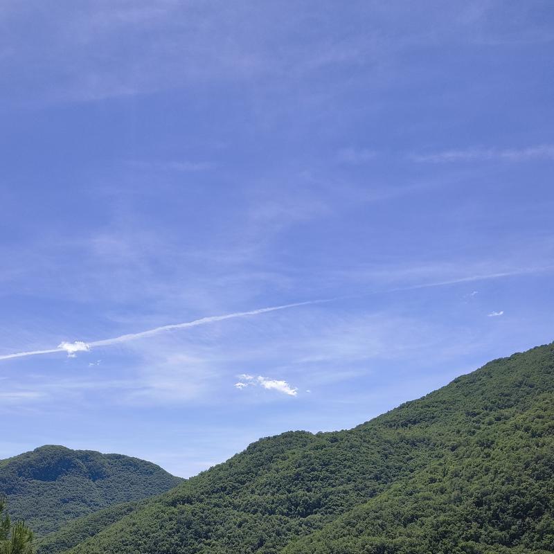 Fotosegnalazione di Licenza