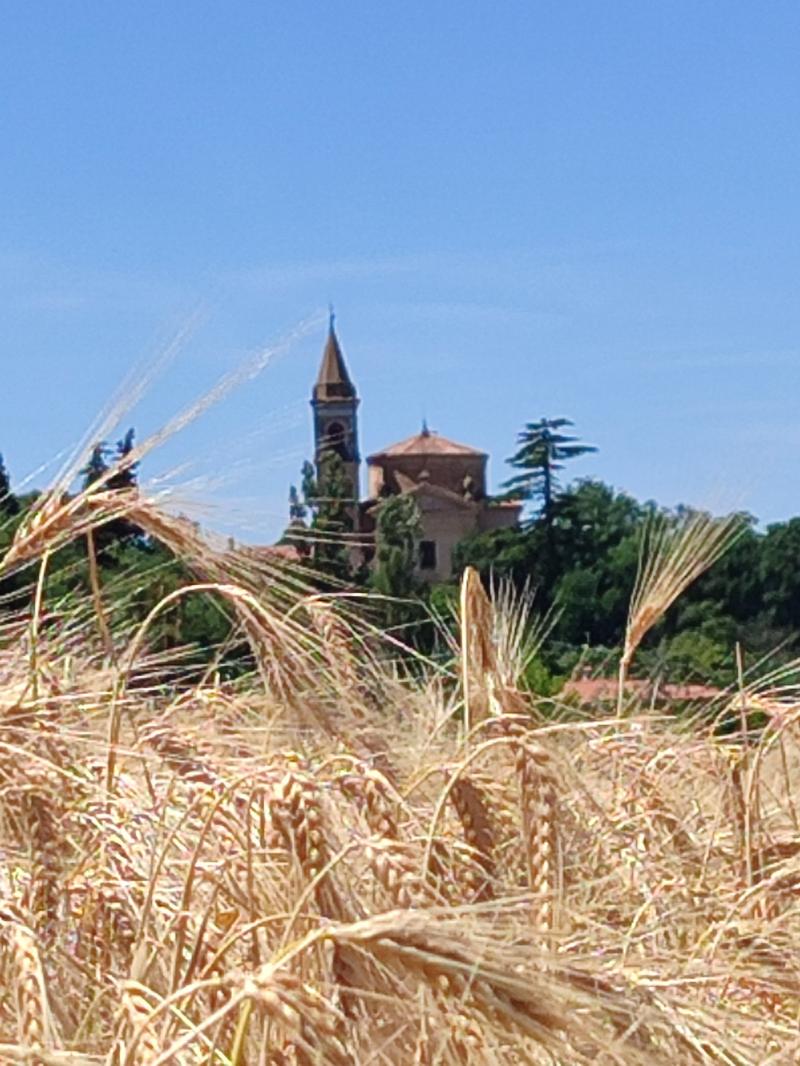 giugno splendido