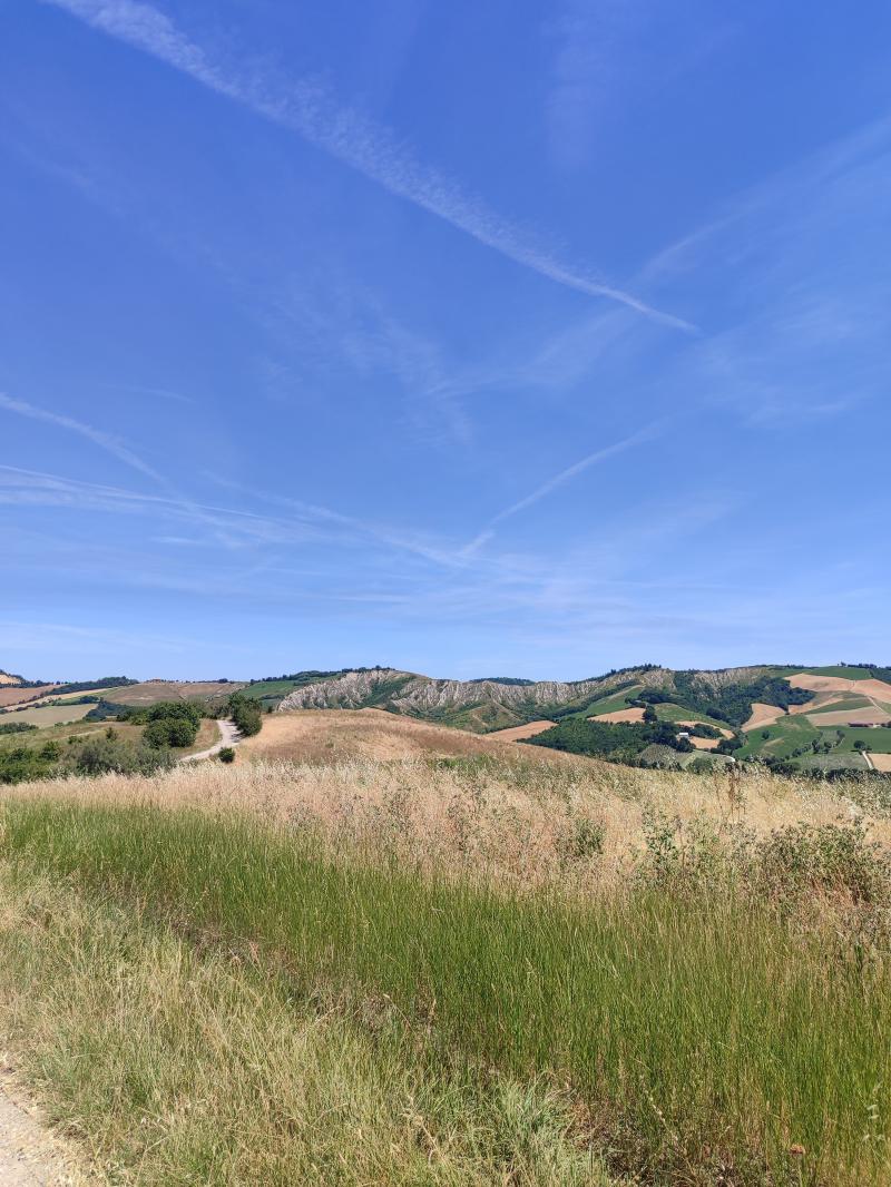 le colline di castel san pietro