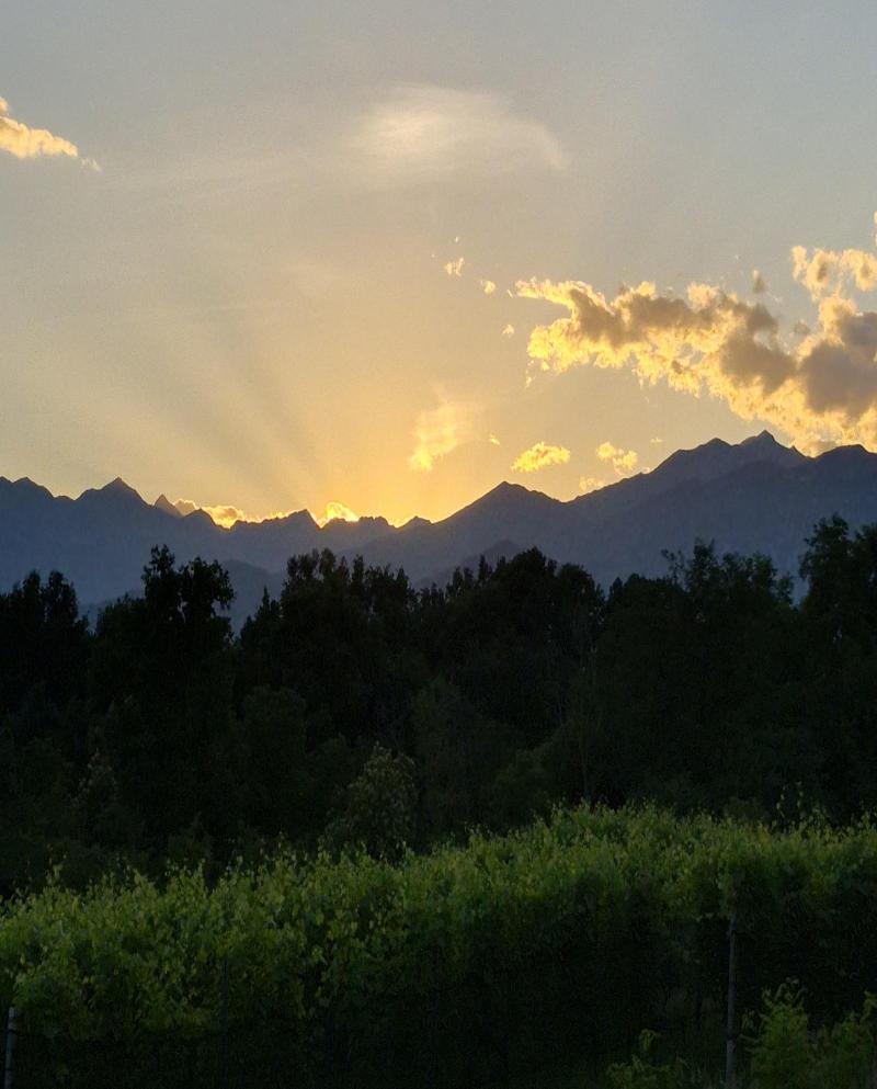 raggi di sole