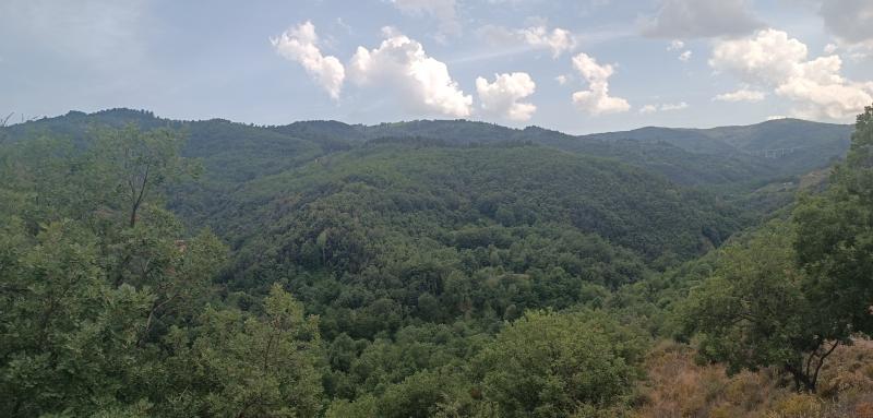 vista da cravia by gianluca congi