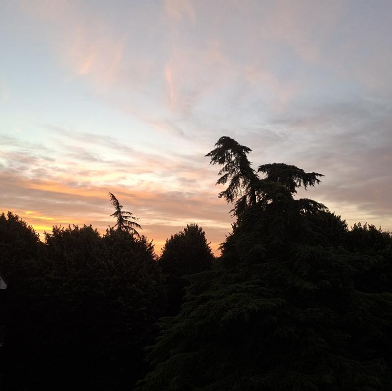 Che alba