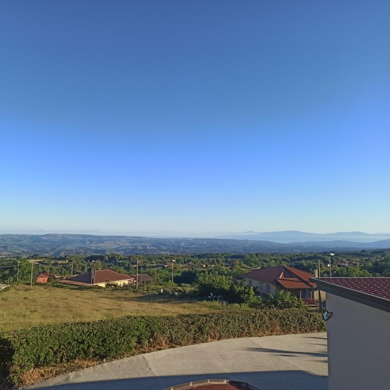 Fotosegnalazione di Arena