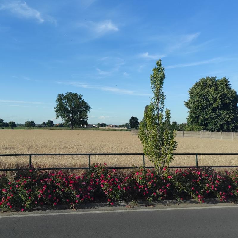 Fotosegnalazione di Zerbo