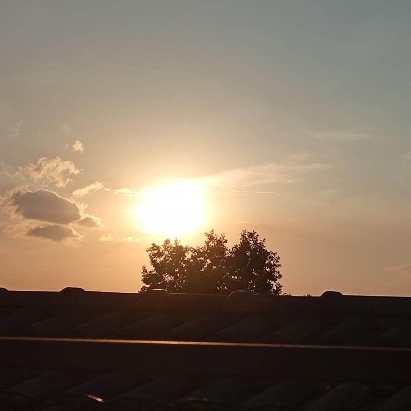 A domani sole...