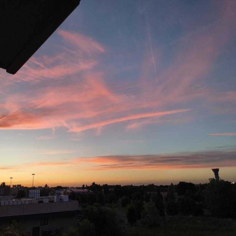 Panna rosa