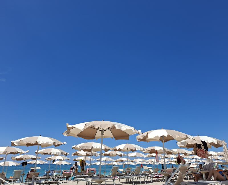spiaggia di farfalle