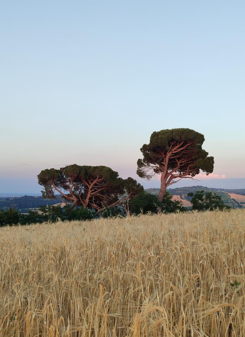 pomeriggio molto caldo