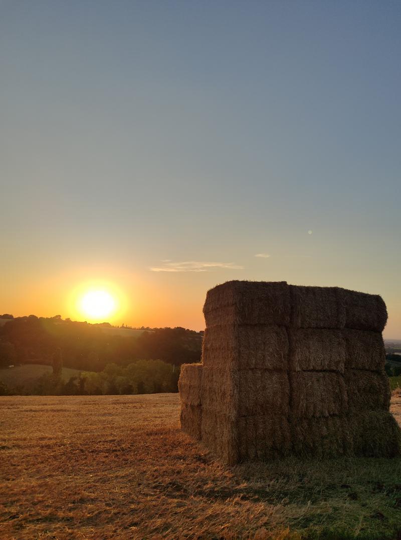 bella serata