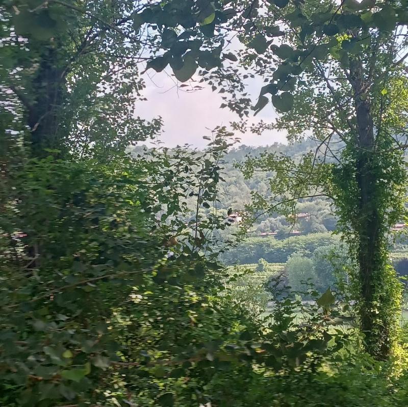 nel verde