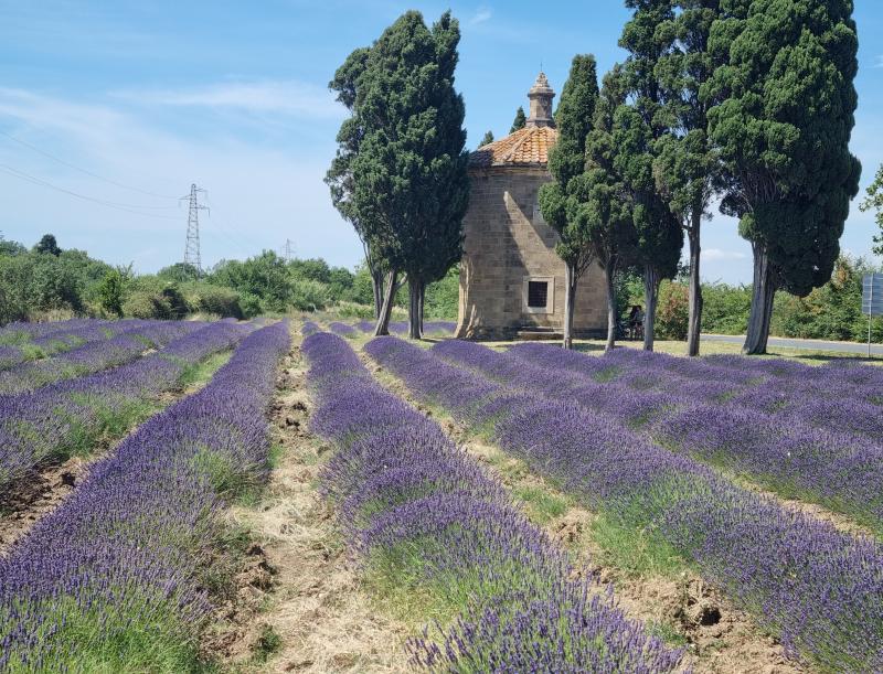 san guido
