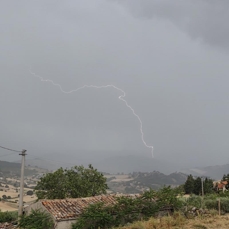Fotosegnalazione di Nissoria