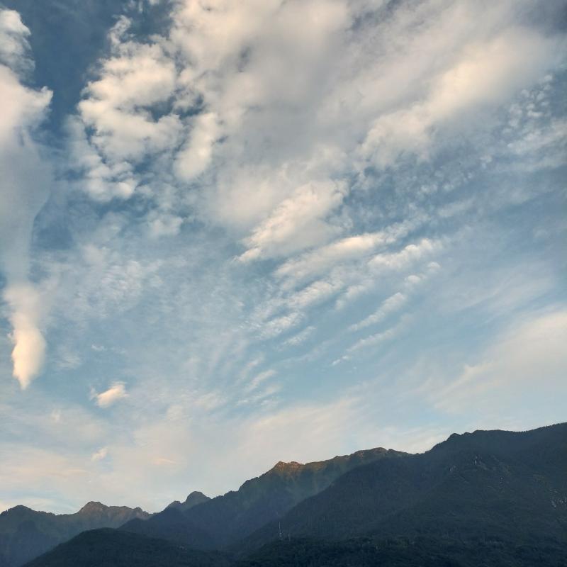 Fotosegnalazione di Praso