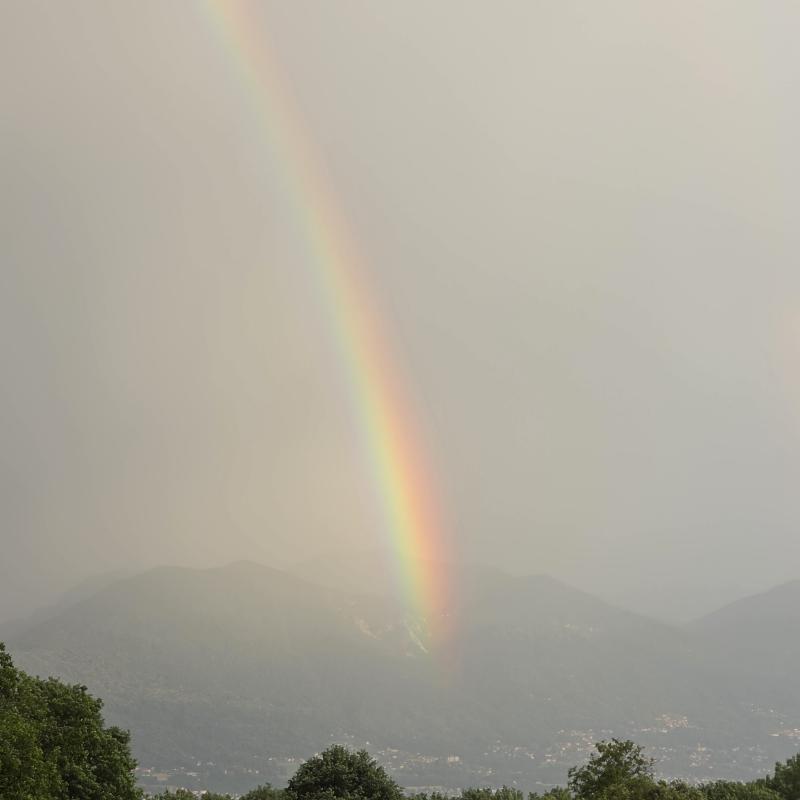 Fotosegnalazione di Trarego viggiona