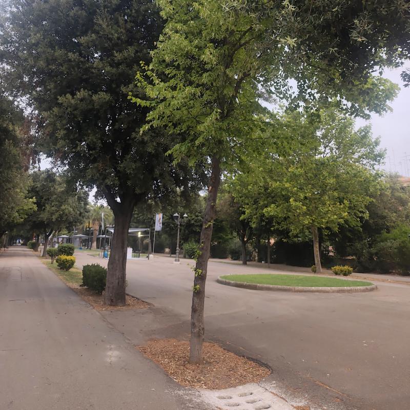 Fotosegnalazione di Foggia centro urbano