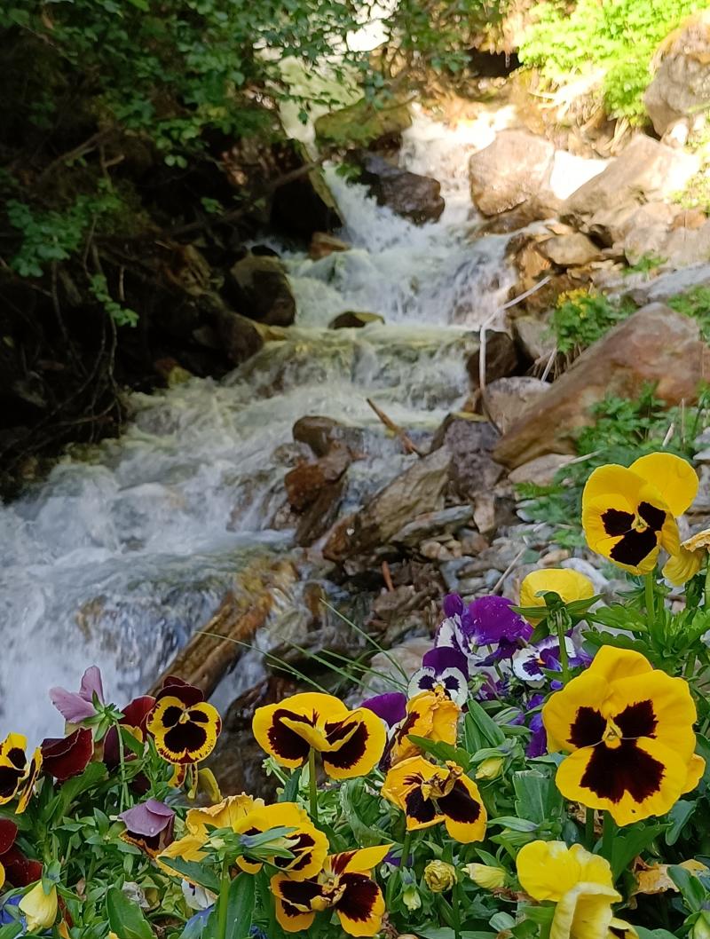 Valfurva