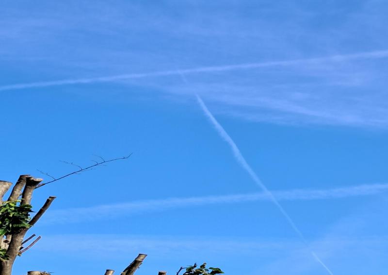 scie