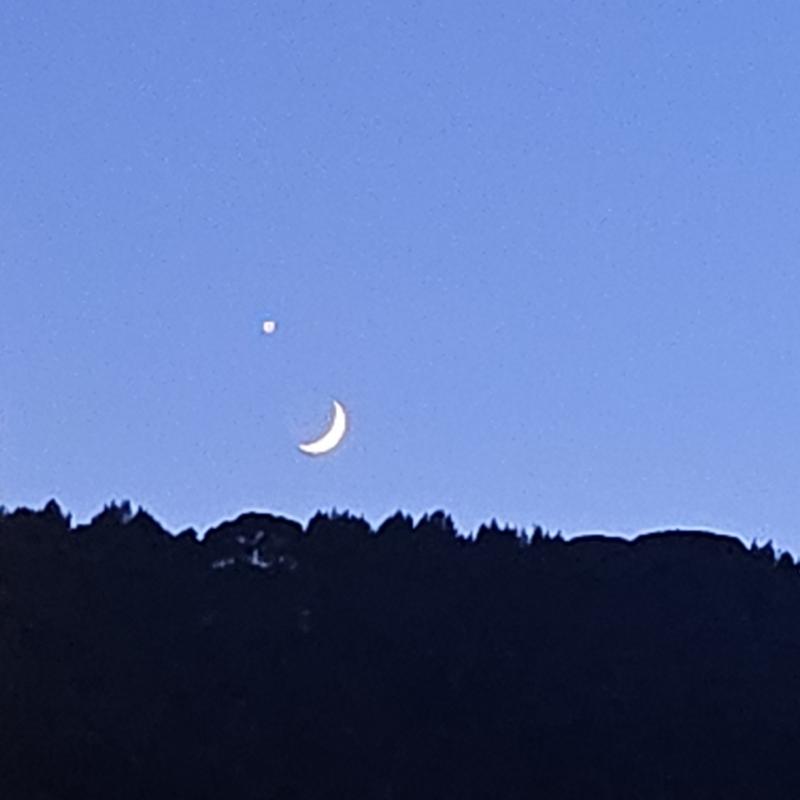 Fotosegnalazione di Laigueglia