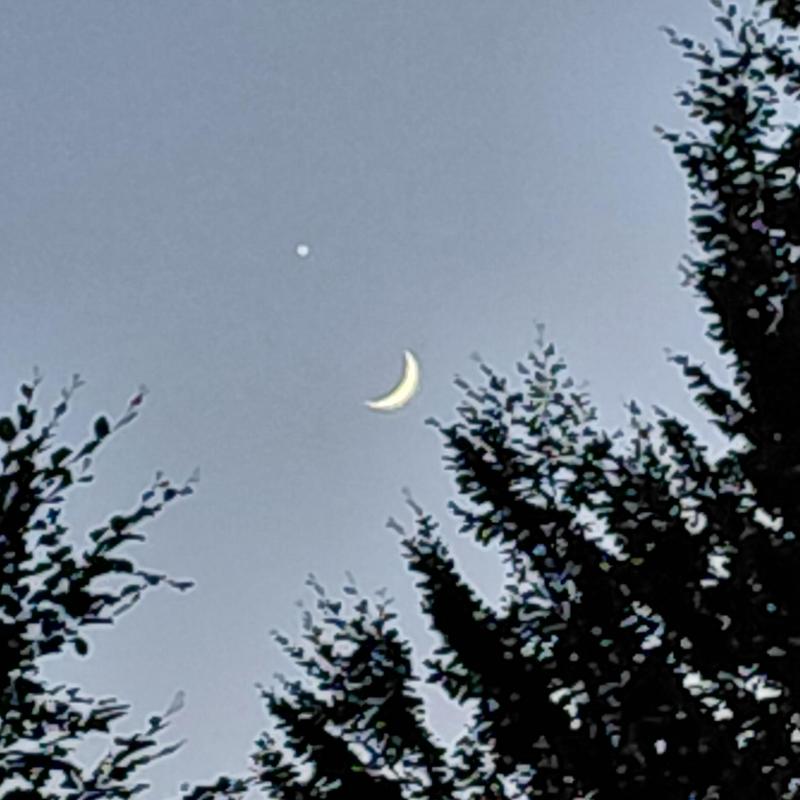 bacio della luna a venere